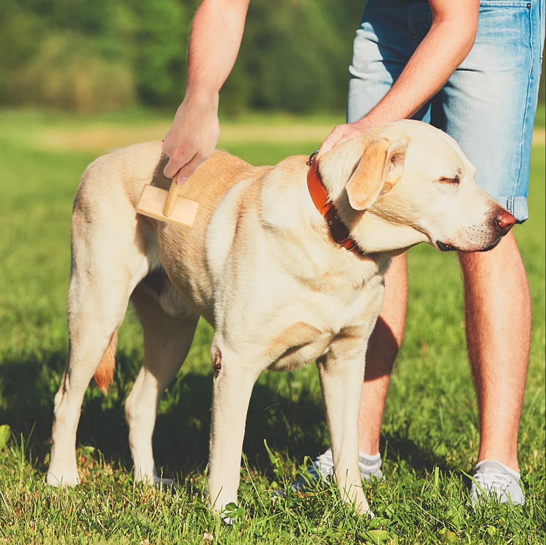 Muse&Iris Dog & Cat brush, Pet Slicker Brush with Bamboo Handle for Large Medium & Short Hair Elegant Grooming Comb for Removing Shedding, Tangles and Dirt