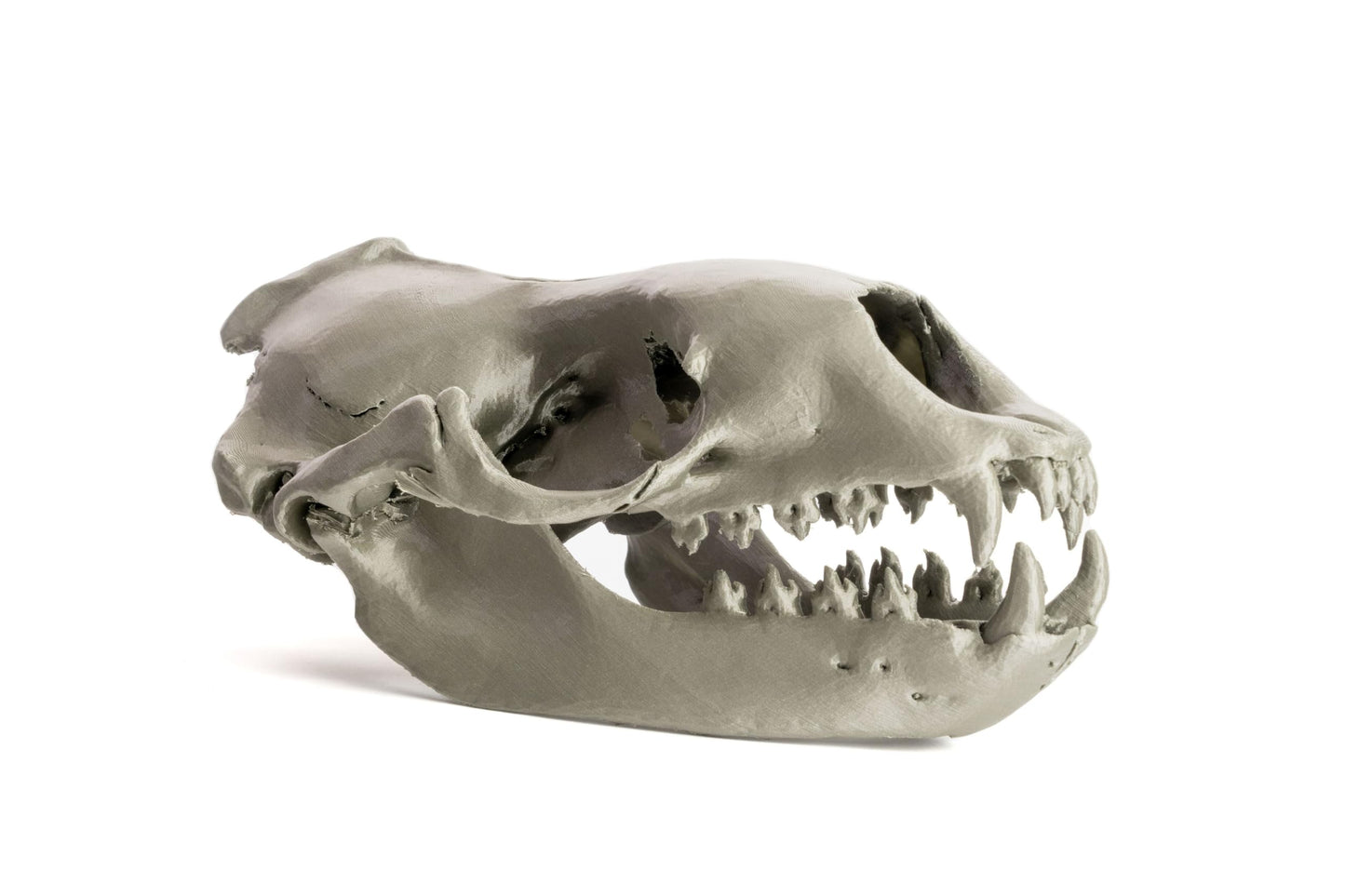 Original Prusa MK4S 3D Printer, Ready-to-use 3D Printer, Assembled and Tested, Removable Print Sheets, 1kg Prusament PLA Spool Included, Print Size 9.84 x 8.3 x 8.6 in