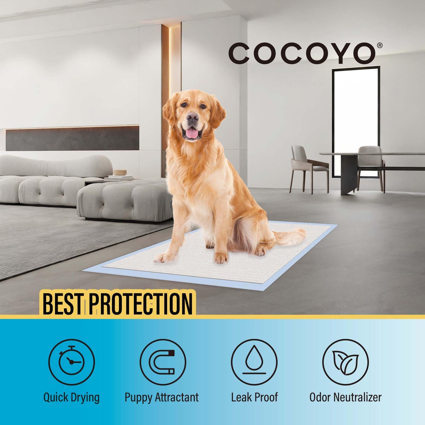 COCOYO Best Value Training Pads, 40Count, 28" by 34"