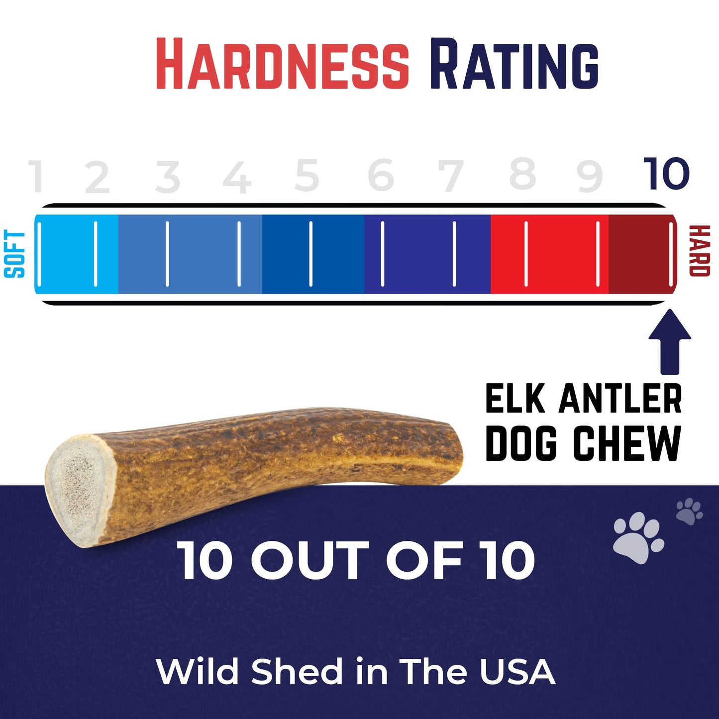 Devil Dog Pet Co. Elk Antlers for Dogs, Medium 5"+, 1 Pack, Grade A Long Lasting Chew for Aggressive Chewers, Premium USA Naturally Shed Antler – Healthy, No Odor, Durable Dog Chew