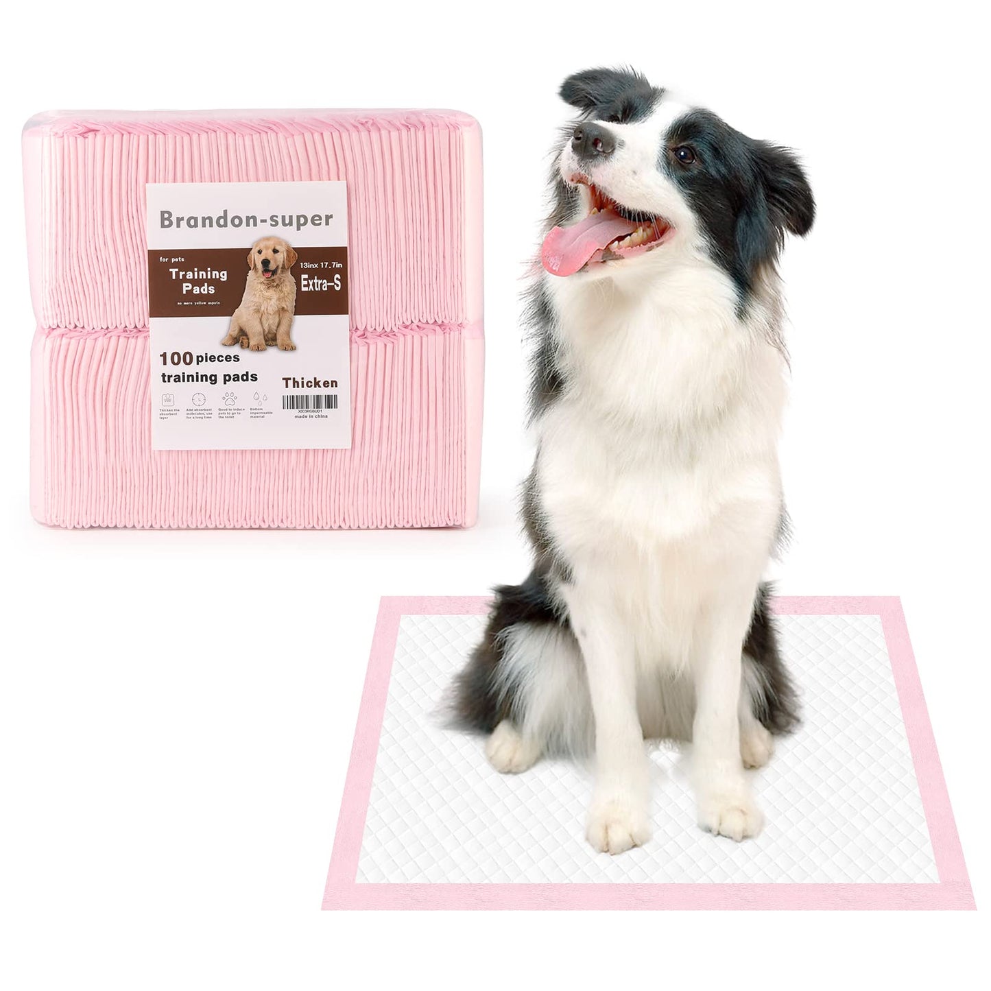 Super-Absorbent Leak-Proof Dog and Puppy Pet Training Pad, Housebreaking Puppy Pads Disposable (13" X 18"-Extra-Small 100PCS)