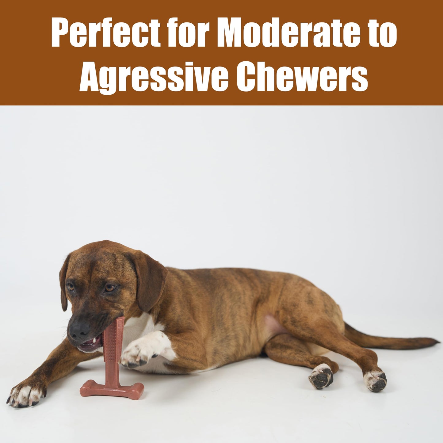 SPOT Bam-Bones Plus T-Bone, Bamboo Fiber & Nylon Dog Chew, Durable for Aggressive Chewers, Non-Splintering, for Adult Dogs & Teething Puppies Under 60lbs, 6in, Beef Flavor