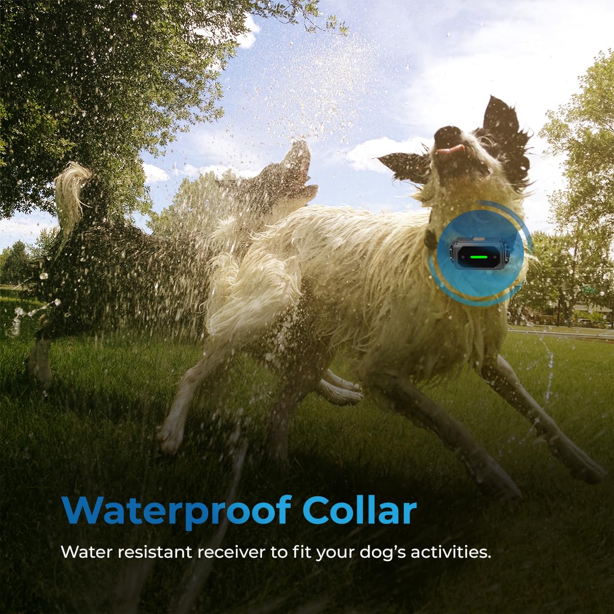 AutoSky Remote Controlled Anti-Bark Collar - Training Collar with Remote Waterproof with Training Modes, Rechargeable E-Collar for All Breeds