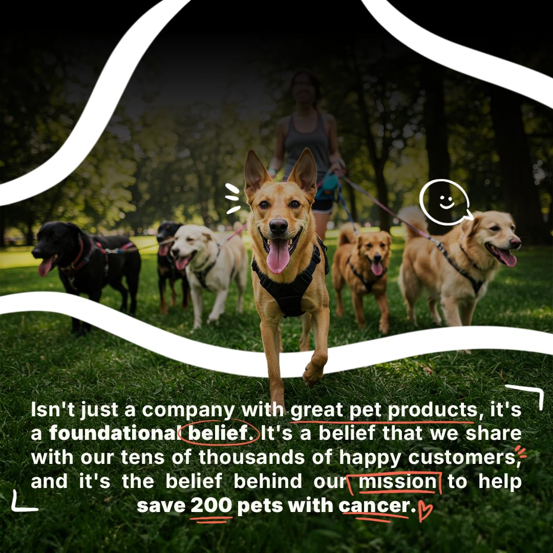 Pets Are Kids Too Oatmeal Dog Shampoo Baking Soda Hypoallergenic Anti Itch Moisturizing Soothing Deodorizing Pet Care Safe Puppy Shampoo Sensitive Skin Cat Shampoo - Coconut Based Cleanser 17 fl oz