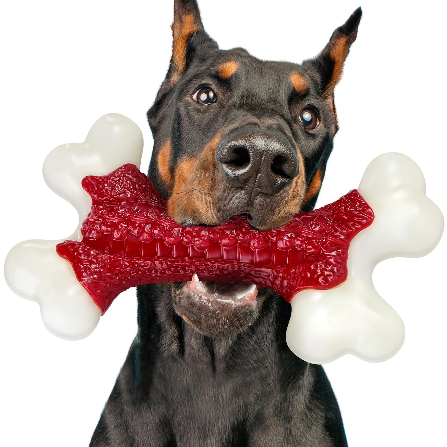 Kseroo Tough Dog Toys, Toys for Aggressive Chewers Large Breed, Chew Dogs, Bone Toy Nylon Dogs Almost Indestructible