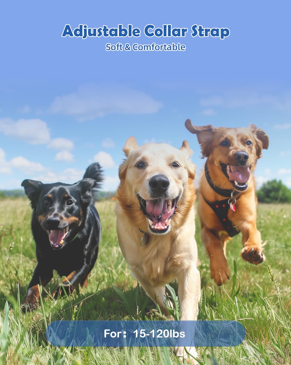 PATPET Dog Training Collar - Rechargeable Dog Training Collar with Remote for Medium Large Dogs 1000Ft Remote Range 3 Training Modes IPX7 Waterproof Black