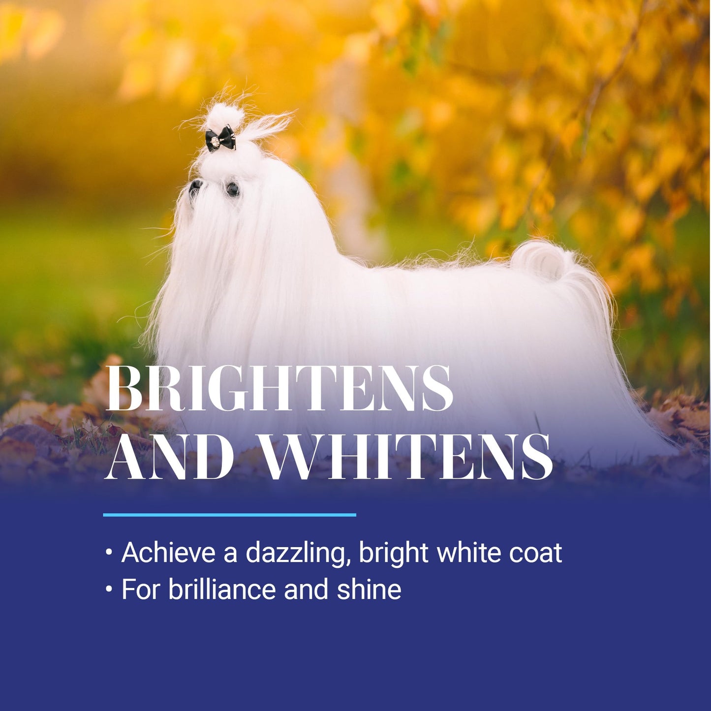 Chris Christensen White on White Whitening Treatment Dog Shampoo (16OZ)