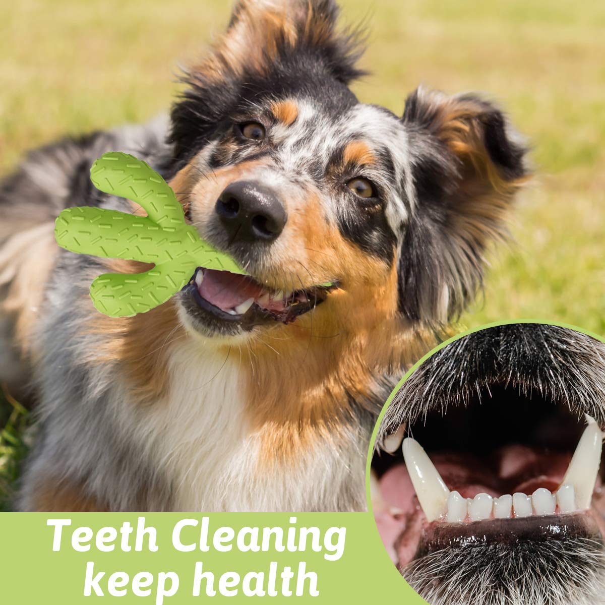 MewaJump Dog Chew Toys for Aggressive Chewers, Durable Rubber Cactus Tough Toys for Training and Cleaning Teeth, Interactive Dog Toys for Small/Medium Dog