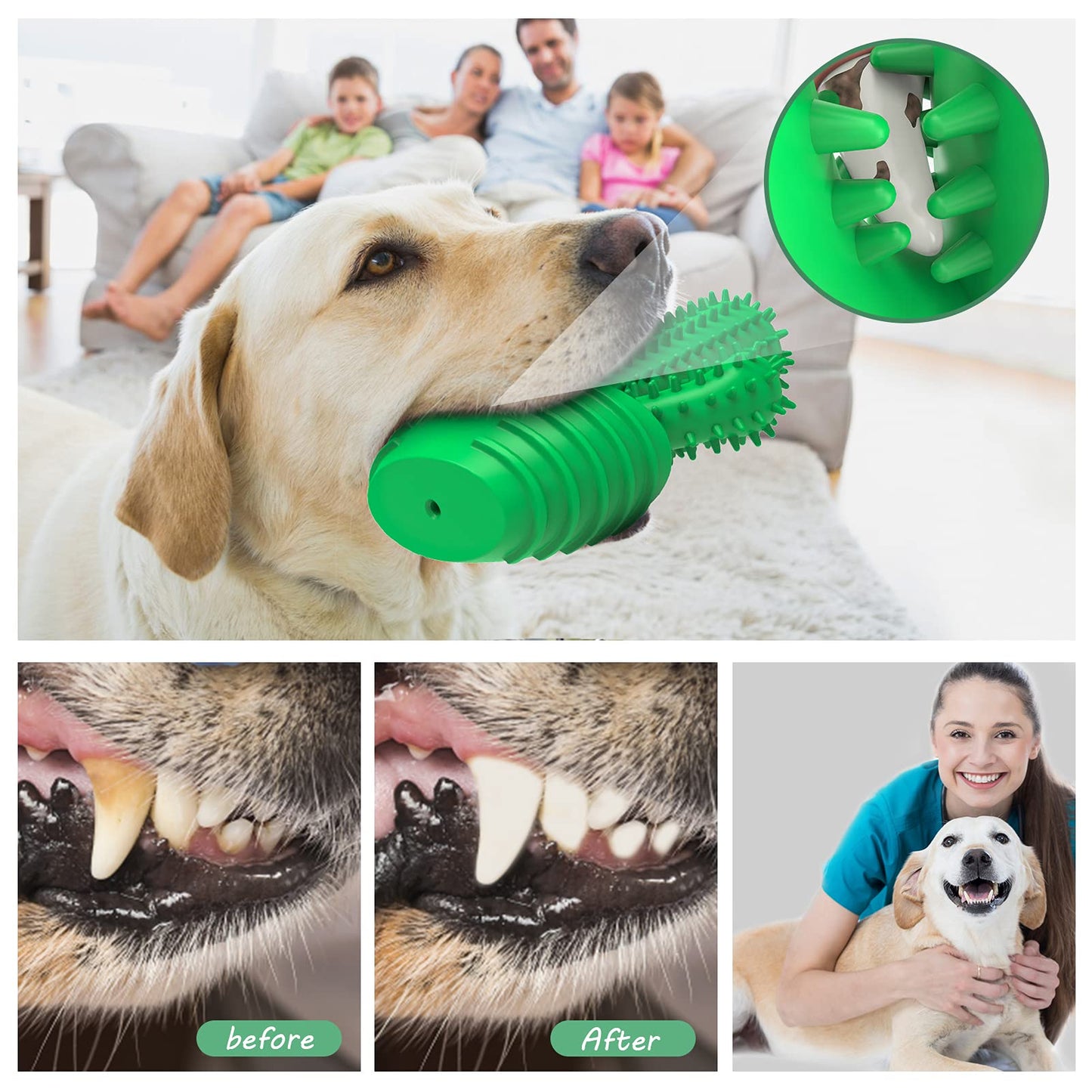 Pamlulu Dog Chew Toys Dog Toothbrush Stick Teeth Cleaning Brush Dental for Medium Large Dog, Puppy Christmas Easter Birthday Gifts, Outdoor Squeaky Toys for Aggressive Chewers Interactive Tough Toys