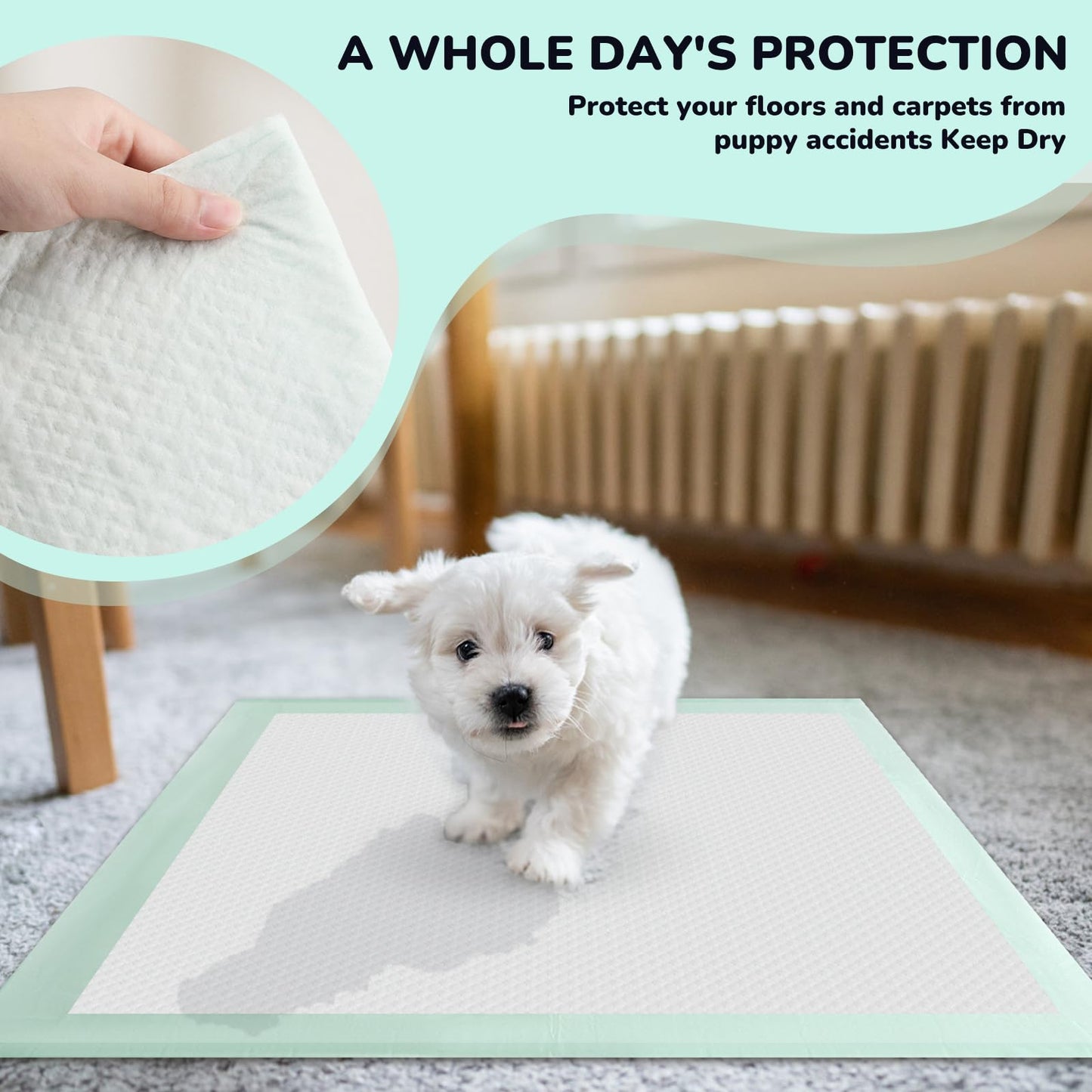 80PCS Pet Training and Puppy Pads - 24"x24" Disposable Waterproof Puppy Pee Pads - Maximum Absorption and Protection