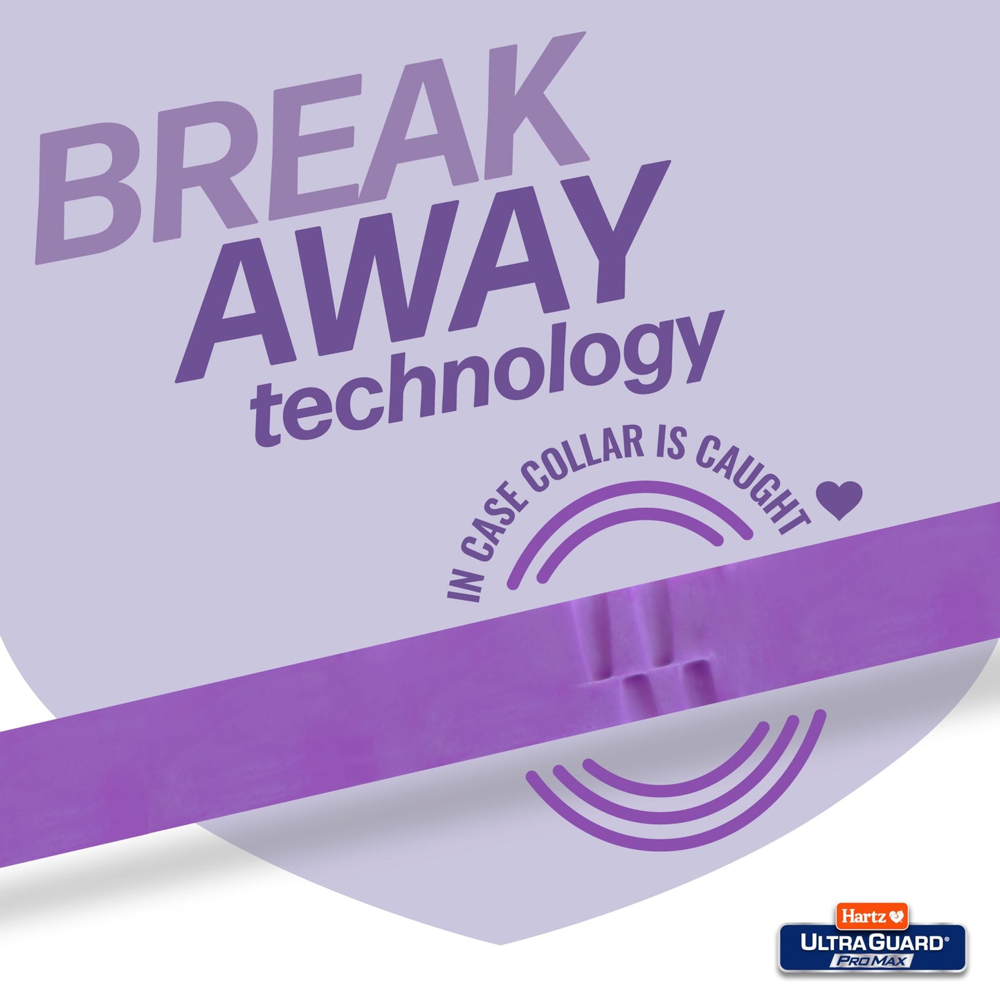 Hartz UltraGuard ProMax Flea & Tick Collar for Cats I 14 Months Protection I Soft & Comfortable | Flea & Tick Prevention I 2 Pack