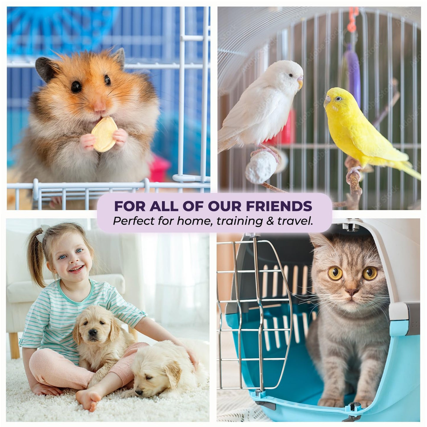 GREEN LIFESTYLE Pee Pads - Super Absorbent & Leak-Proof Pee Pads for Dogs - Puppy Pads - Waterproof Dog Pads, Lavender Scented Dog Training Pads for Cats, Rabbits (Pack of 80 - 22x22)