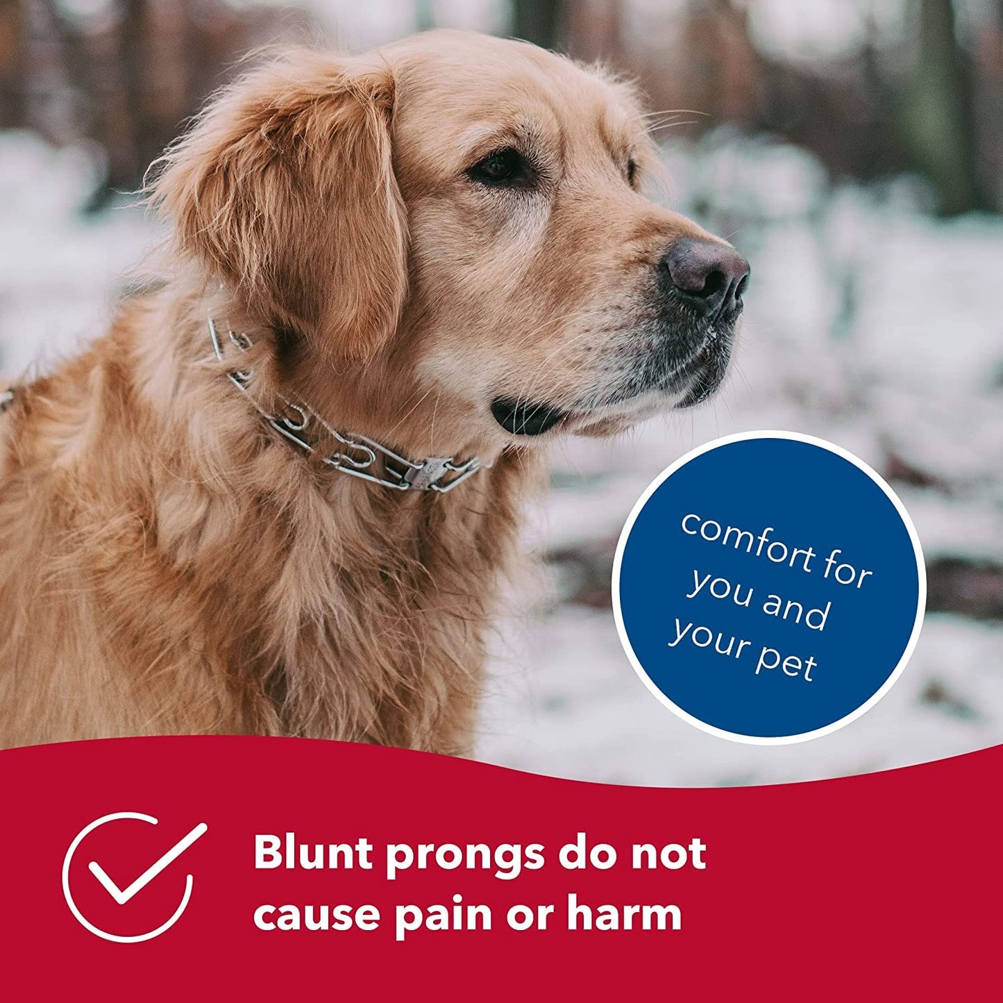 Herm SPRENGER Ultra-Plus Prong Dog Training Collar, 2.25 mm x 13" Neck Size, 16" Chain Length, Steel Chrome Plated Dog Prong Collar, Pinch Collar for Dogs, Dog Correction Collar