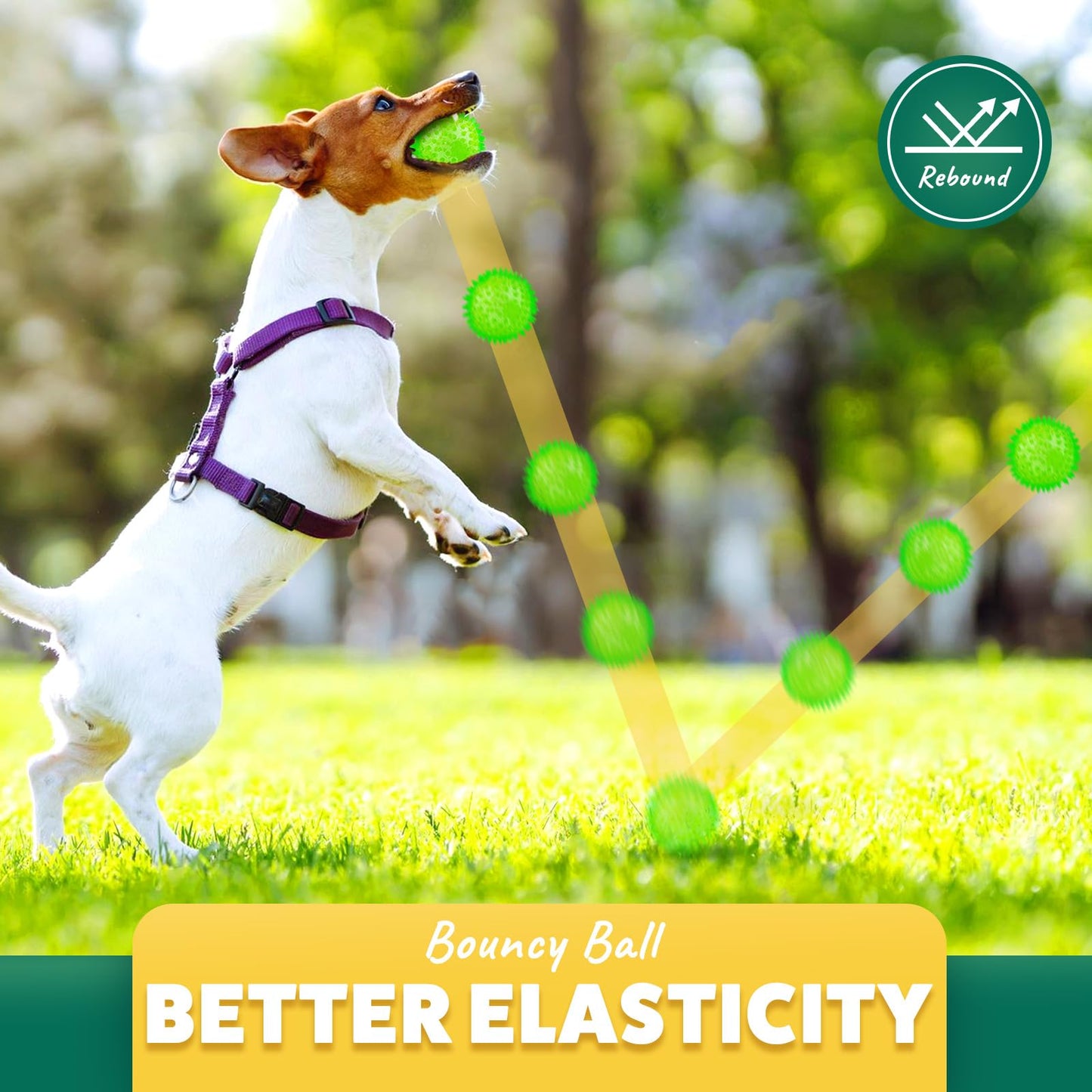 PUPTILY Interactive Dog Toys - 2.5' Squeaky Teething Chew Balls for Small Dogs, Clean Teeth & Training (5Pcs)