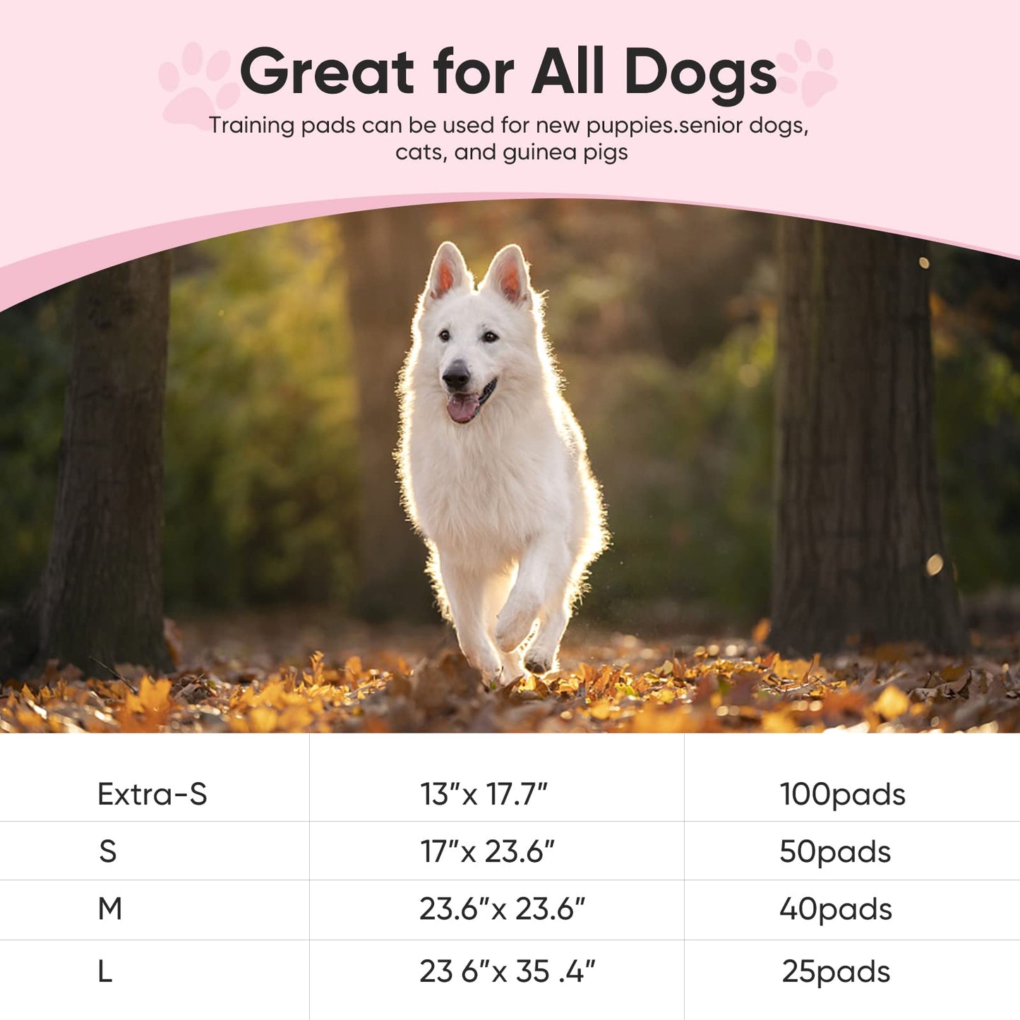 Super-Absorbent Leak-Proof Dog and Puppy Pet Training Pad, Housebreaking Puppy Pads Disposable (13" X 18"-Extra-Small 100PCS)