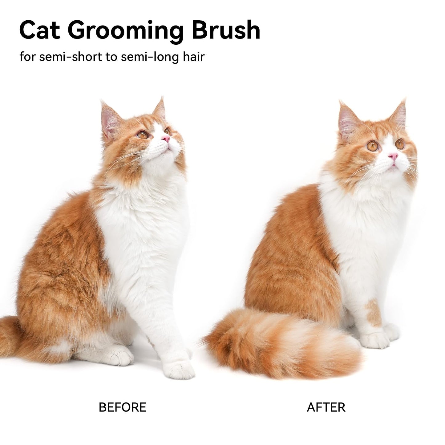 Aumuca Cat Brush for Shedding, Cat Brushes for Indoor Cats, Cat Brush for Long or Short Haired Cats, Cat Hair Brush Cat Grooming Deshedding Brush for Dog Kitten Horse Massage Removes Loose Fur, White