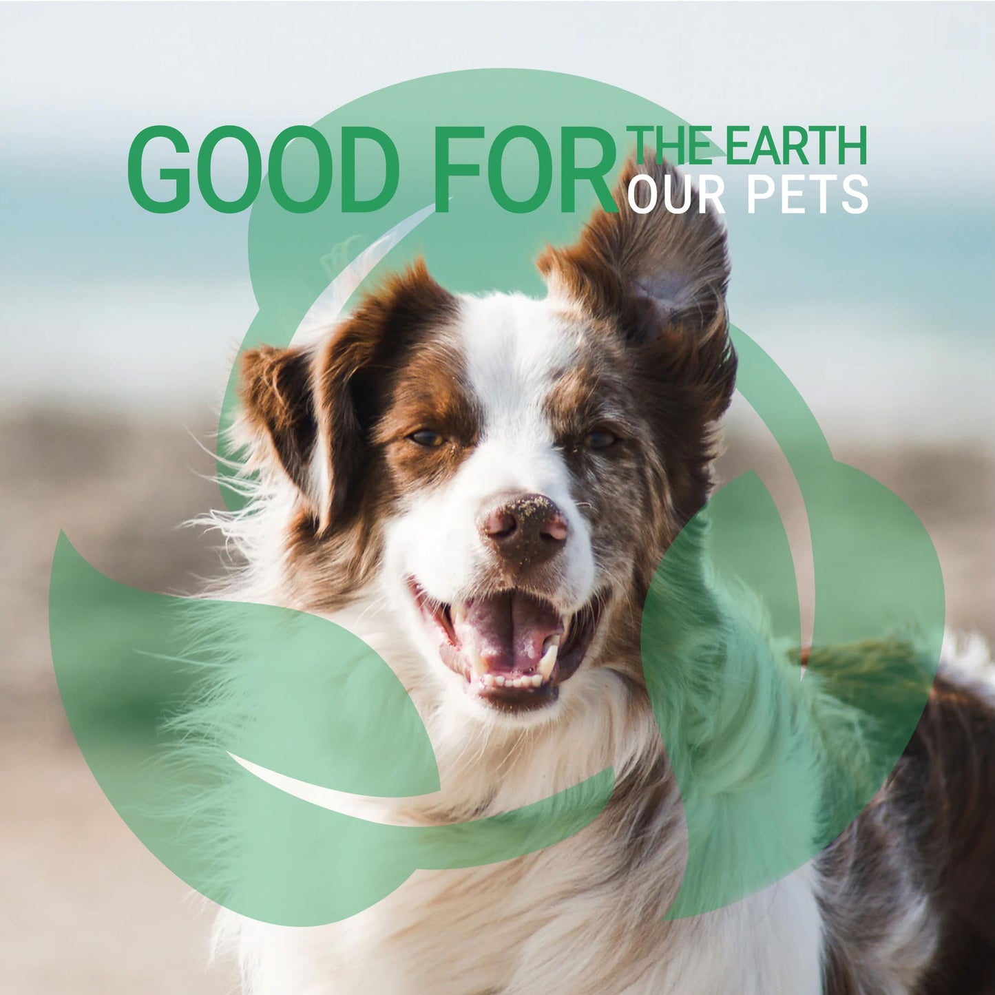 Green Groom Odor Eliminator Dog Shampoo, 1 Gallon - Crafted with Odortrol, All Natural Ingredients, Antioxidant Rich, Eliminates Smelly Pet Odors, Powerful Deodorizing Formula, Professional Grade