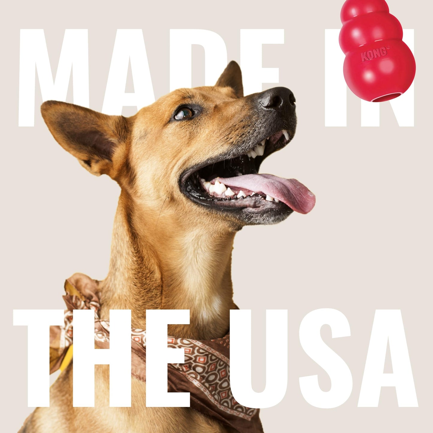 KONG Ring - Natural Rubber Ring Toy for Healthy Chewing Habits - Chew Toy Supports Dog Dental Health - Dog Toy Supports Instincts During Playtime - for Small/Medium Dogs