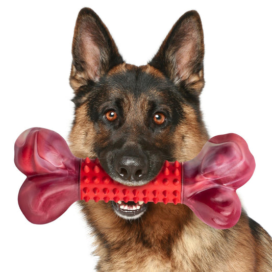 Apasiri Tough Dog Toys for Aggressive Chewers Beef Flavor: 8" Dog Chew Bone for Large Breed, Nylon & Rubber Chew Toy for Medium Large Dogs