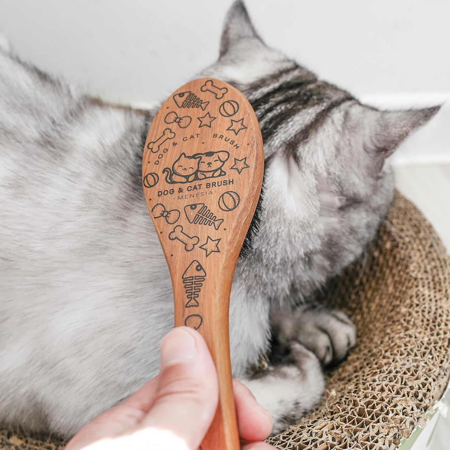 Menesia Pet Soft Brush with Wood Handle and Boar Bristle Hair - Soft Cat and Dog Grooming Brush for Short Hair Cats and Small Dogs - Gentle Massage and Dandruff Removal (Cat)
