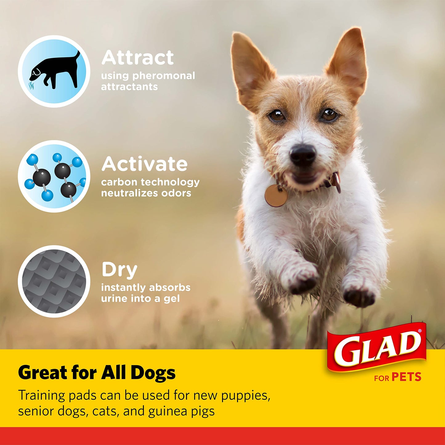 Glad for Pets Black Charcoal Puppy Pads - Super Absorbent Disposable Dog Pee Pads, Potty Training Pads, and Pet Supplies - Dog Pee Pads for Crate Training and Indoor Use 23" x 23" - 150 Count