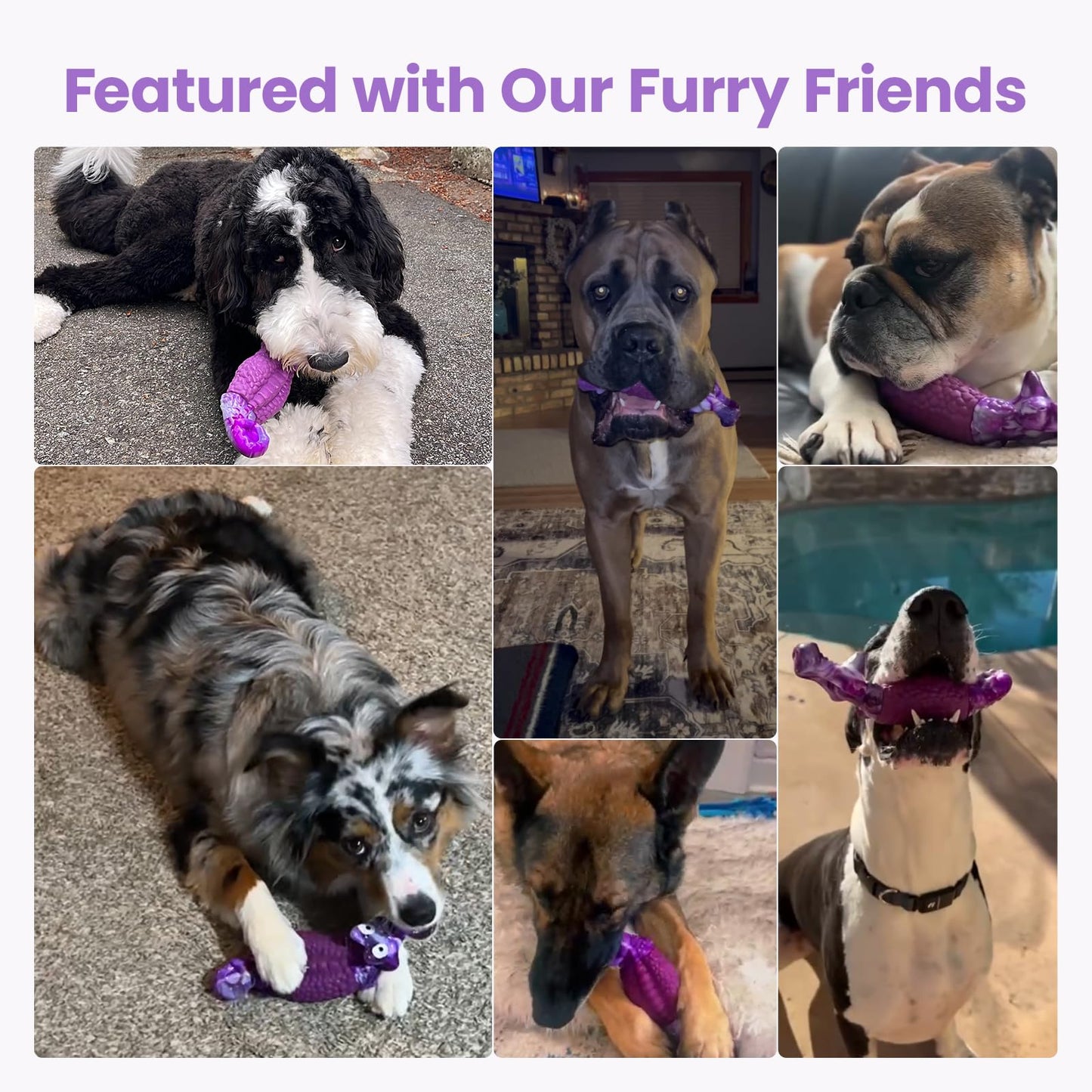 HGB Tough Dog Chew Toys for Aggressive Chewers, Squeaky Indestructible Dog Toy to Keep Them Busy & Reduce Boredom for Small, Medium, Large Breed, Bacon Flavor