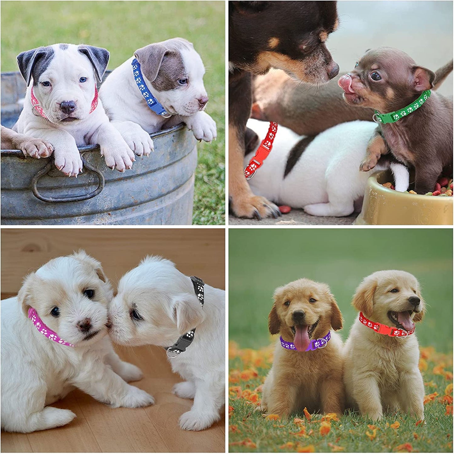 Chenkaiyang 12 Pack Puppy Collars for Litter, Adjustable Puppy ID Collars Soft Nylon Whelping Collars for Newborn Litter Pets