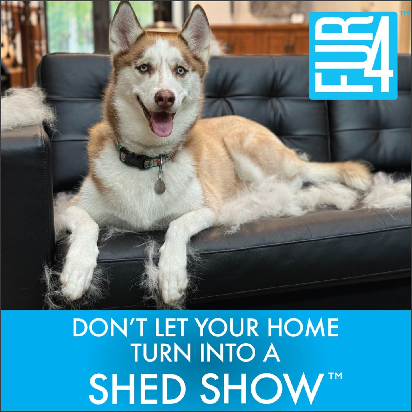 FUR4 deShedding Tool for Short Hair Cats - Innovative Cat Grooming Brush with 4 Composite Carbon Fiber Edges for Effective Fur Removal - Cat Hair Deshedder Brush for a Comfortable Grooming Experience