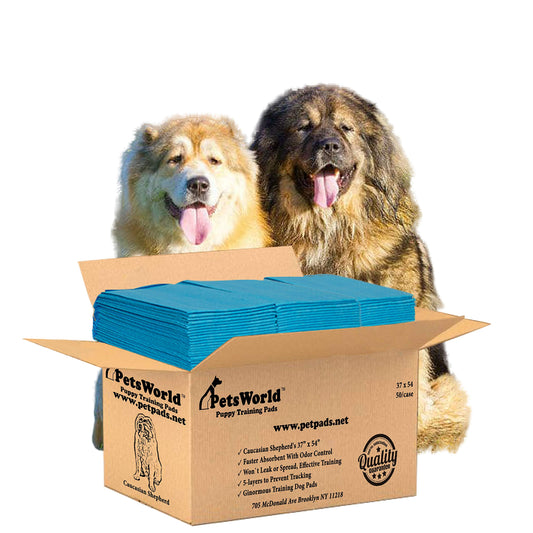 PETSWORLD Enormous Dog Training & Potty Pads, 37x54 inch - Tear Resistant with Strong Leak-Proof Backing, Optional Adhesive Tape, 50 Count