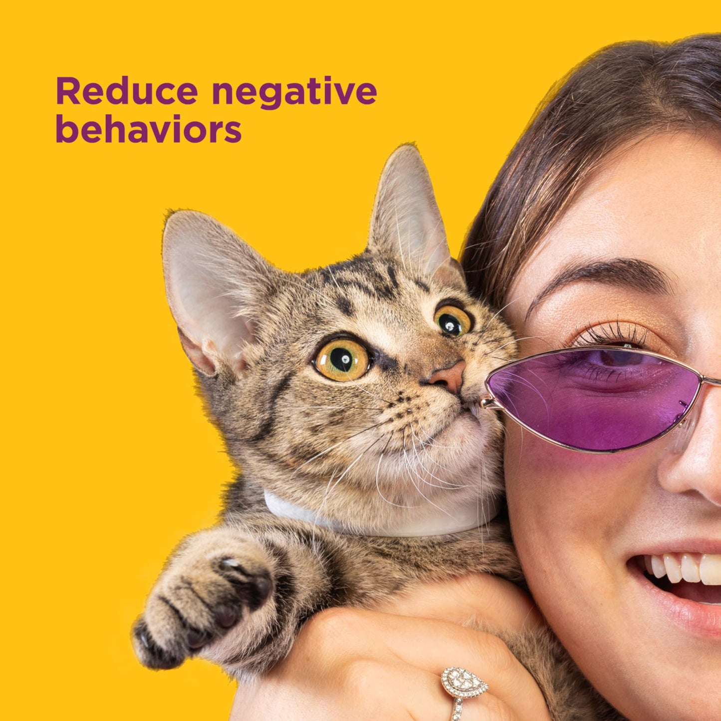 Comfort Zone Cat Calming Collar Savings Pack: 2 30-Day Calming Collars for 60 Days of Calm; Cat Pheromones Help Anxiety, Reduce Stress, Urine Marking, Scratching; Indoor or Outdoor Cats; Long-Lasting