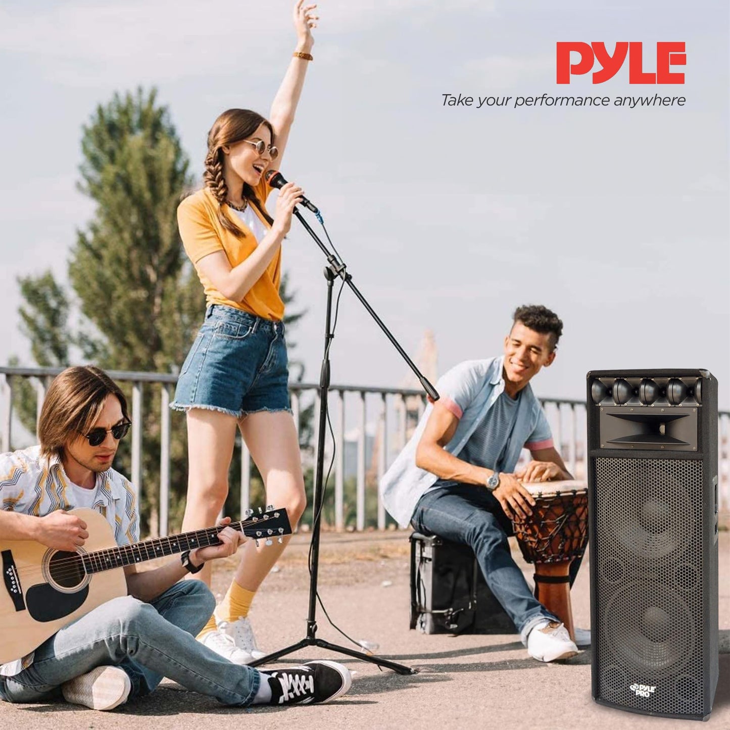 Pyle Portable Cabinet PA Speaker System - 1600 Watt Outdoor Stereo Sound Speakers w/ Dual 12" Woofers, 3.4" Piezo Tweeters, 5"x12" Super Horn Midrange, Crossover Network