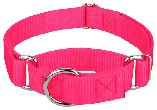 Country Brook Petz Martingale Dog Collar - Heavy-Duty Training Collar with No Buckle - Service Dog Collar for All Pups - Vibrant, Colorful Collection (Hot Pink, 1 Inch, Medium)