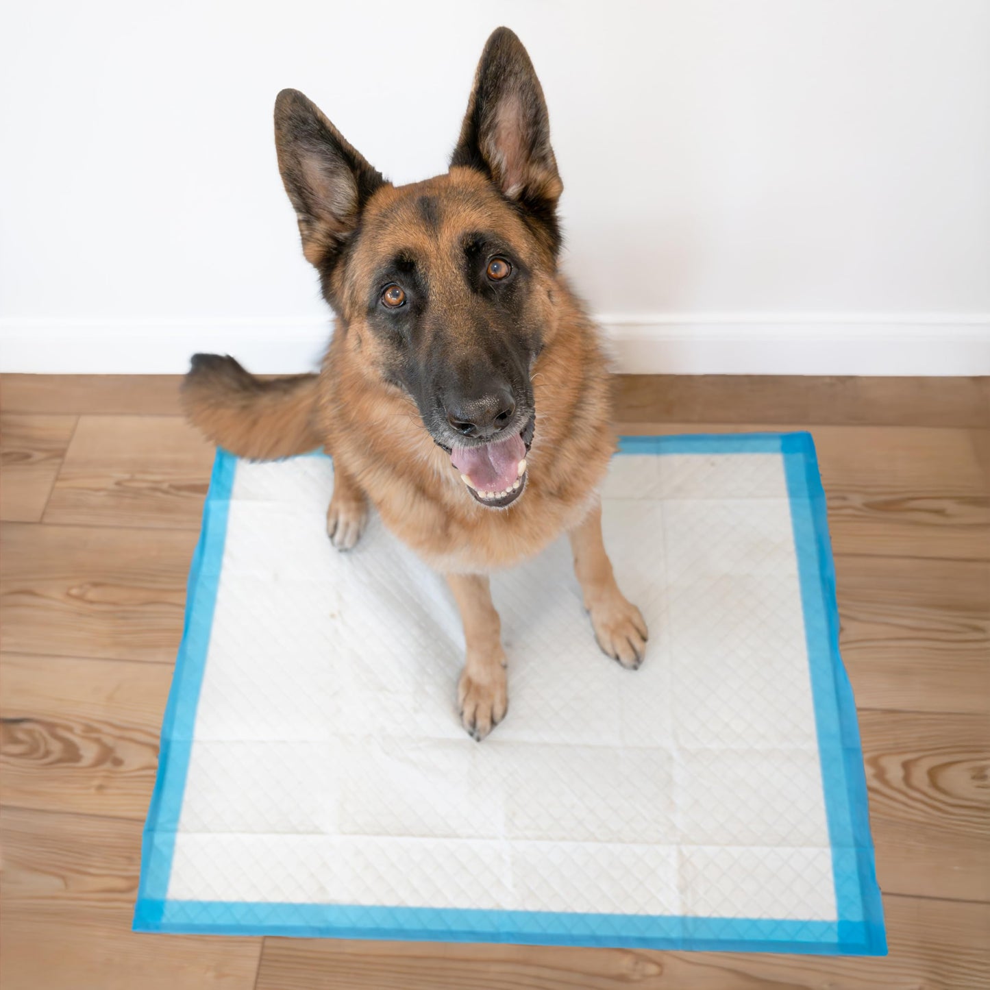 Four Paws Wee-Wee Superior Performance Unscented Extra-Large Pee Pads for Dogs & Puppies, Quilted Leak-Proof Dog Housebreaking Potty Training Floor Protection, 28" x 34", 40 Count
