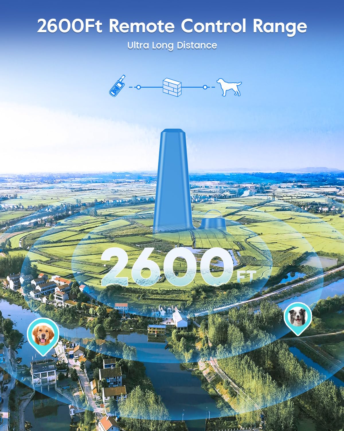 Dog Training Collar with Remote, Electronic Dog Shock Collar with Beep, Vibration, Shock, Light and Keypad Lock Mode, Electric Training Collar Set for Small Medium Large Dogs (Black Green)