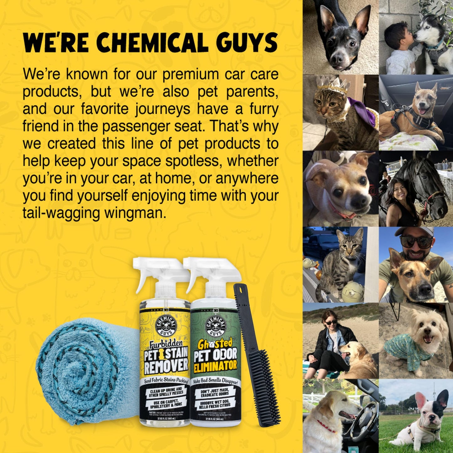 Chemical Guys ACC_S06 Professional Rubber Pet Hair Removal Brush, (Great for Cars, Trucks, SUVs, RVs, On-The-Go, Home, Furniture, & More) Black