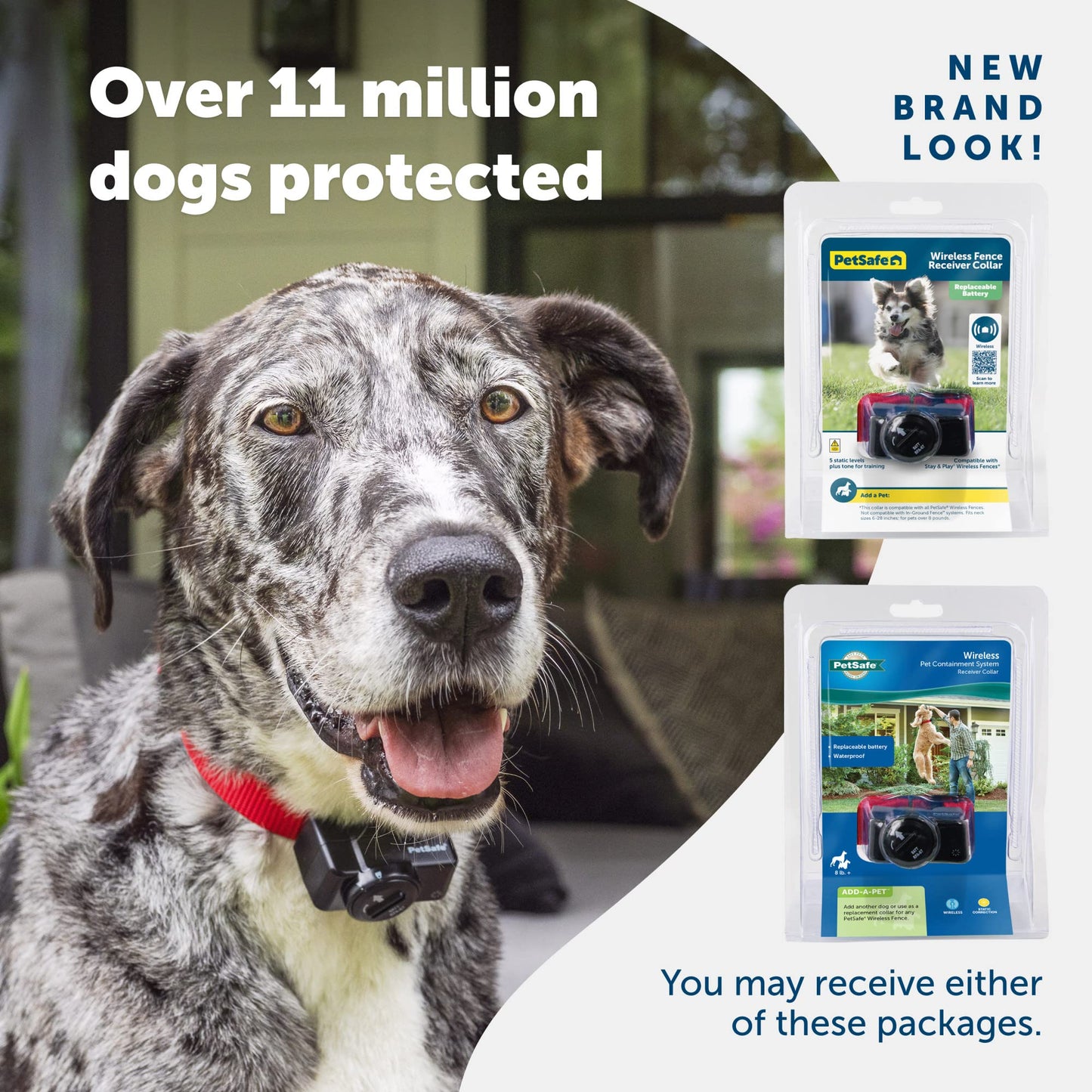 PetSafe Wireless Pet Containment System Receiver Collar - Battery-Operated & Waterproof - Adjustable Receiver Collar with 5 Correction Levels - for Dogs 5lb+