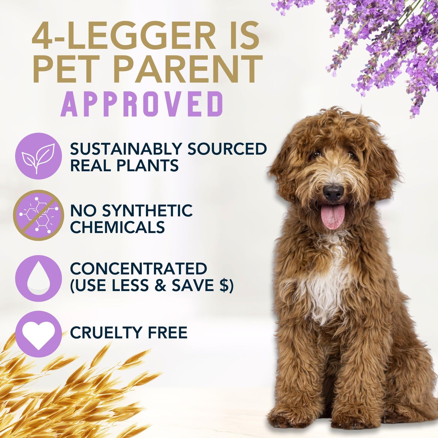 4Legger All Natural Organic Oatmeal Dog Shampoo for Itchy Skin with Aloe, Coconut & Lavender Essential Oil, Hypoallergenic, Moisturizing for Normal, Dry, Itchy, or Sensitive Skin, USA Made, 16 oz