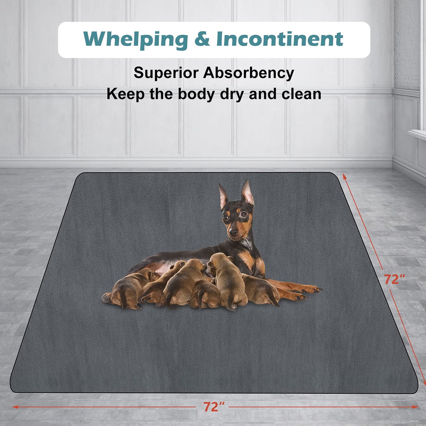 INVENHO Washable Pee Pads for Dogs 72"x72" Reusable Dog Pads Extra Large Upgrade Non-Slip Dog Pee Pads Heavy Absorbency Puppy Pee Pads Quick Dry Whelping Pads/Waterproof Puppy Training Pad