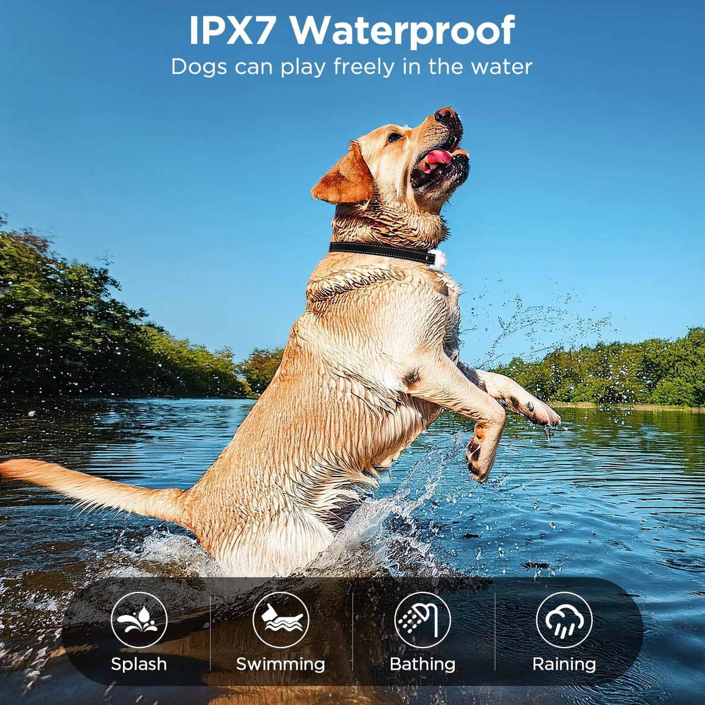 Dog Shock Collar, 3300ft Dog Training Collar with Remote, IPX7 Waterproof Rechargeable Sleek Modern Shock Collar for Small, Medium, Large Dogs with Beep, Vibration, Safety Shock, Light Mode, 8-120 lbs