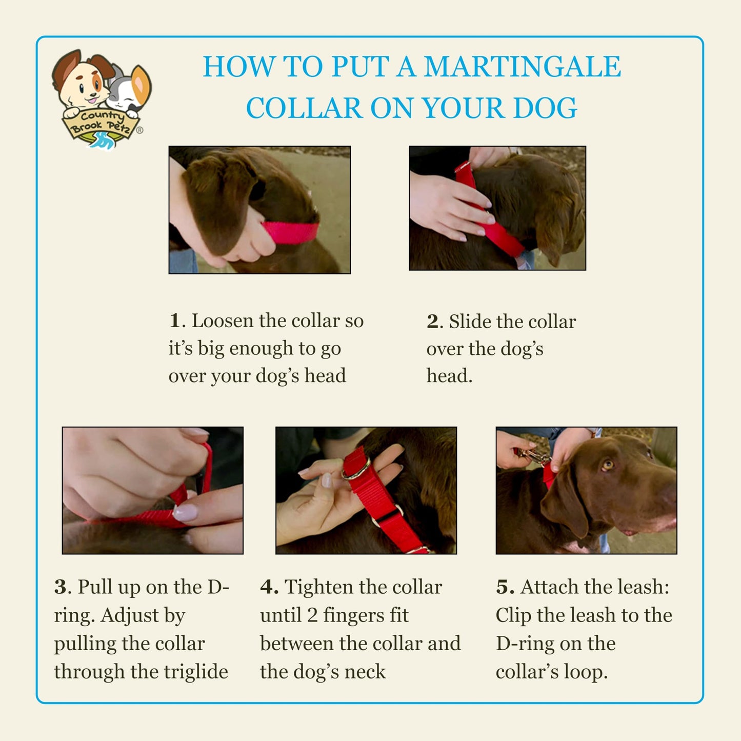 Country Brook Petz Martingale Dog Collar - Heavy-Duty Training Collar with No Buckle - Service Dog Collar for All Pups - Vibrant, Colorful Collection (Hot Pink, 1 Inch, Medium)