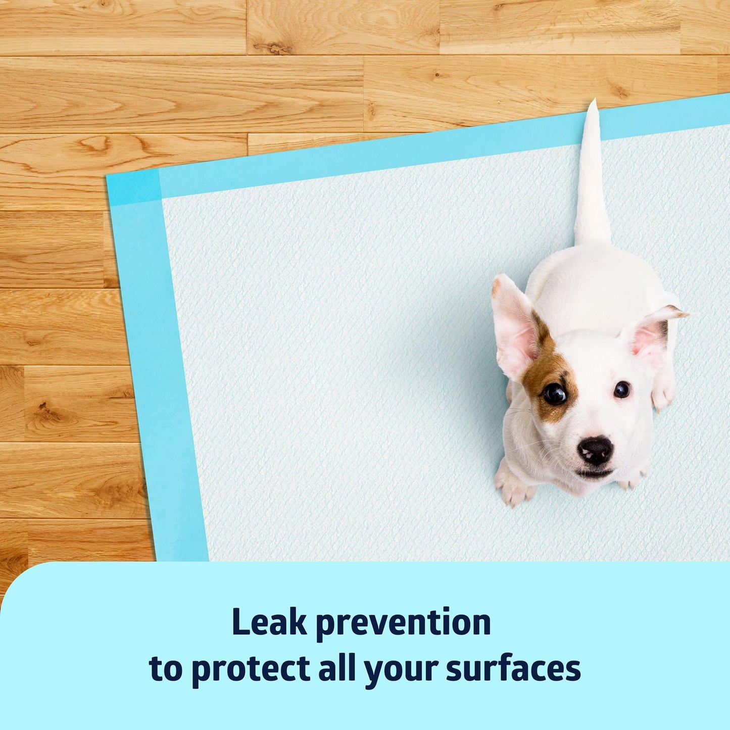 Medline Chucks Pads, Disposable Changing Pads for Baby, 17x24, 300 Count, Chucks Pads, Pee Pads, Disposable Underpads for Incontinence, Diaper Pads, Pee Pads for Babies