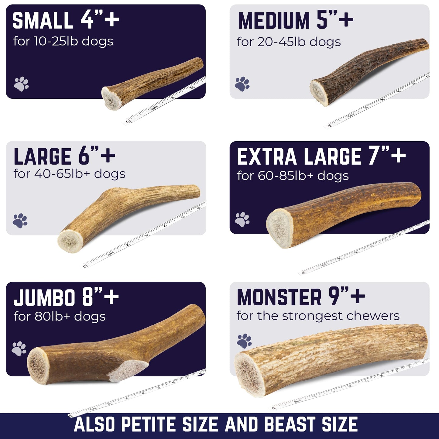 Devil Dog Pet Co. Elk Antlers for Dogs, Medium 5"+, 1 Pack, Grade A Long Lasting Chew for Aggressive Chewers, Premium USA Naturally Shed Antler – Healthy, No Odor, Durable Dog Chew