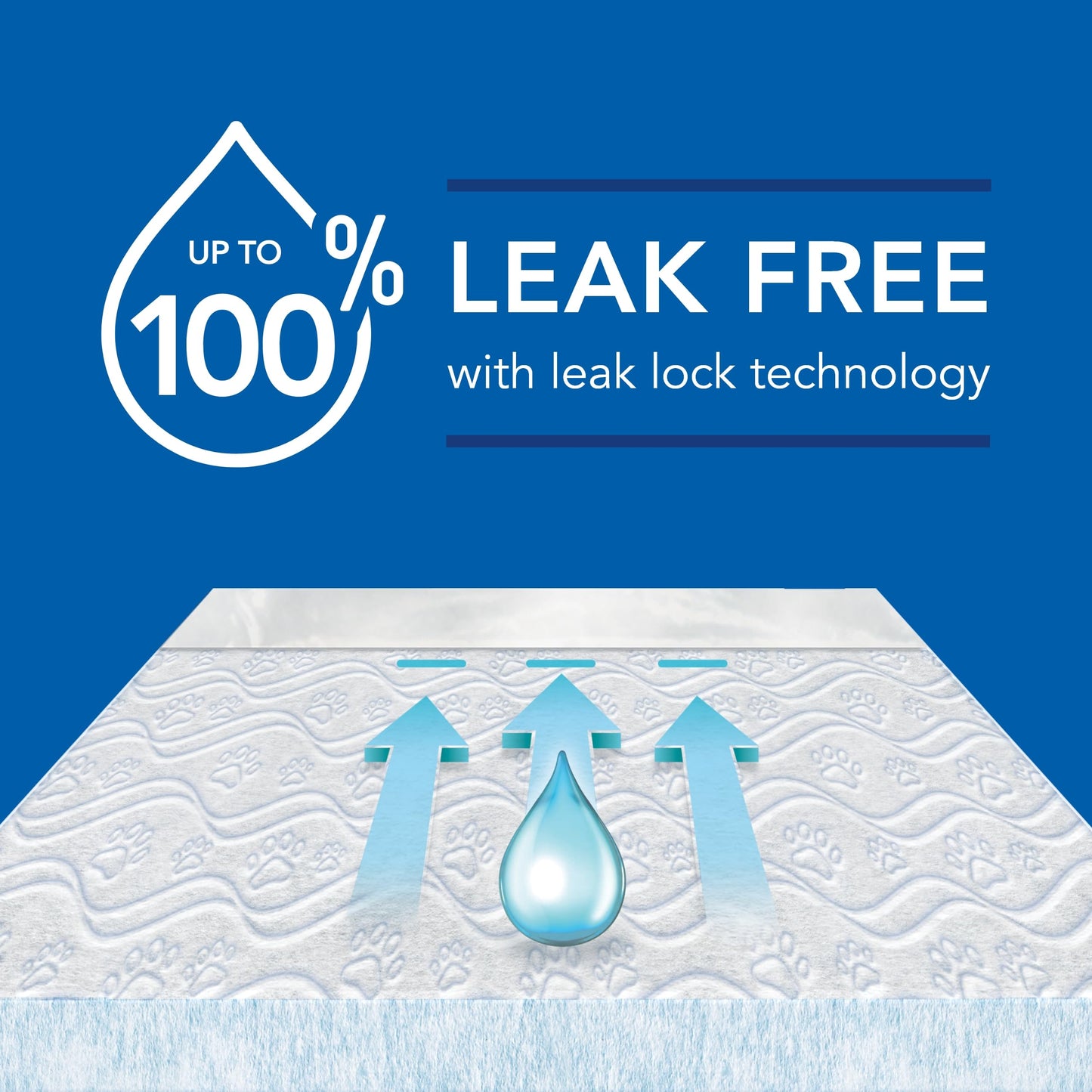 Scott Pet Guard Dog Pads - Extra Large Dog Training Pee Pads - Up to 12 Hour Absorbent Odor Control - Disposable - XXL - 36" x 36" - 40 Pack