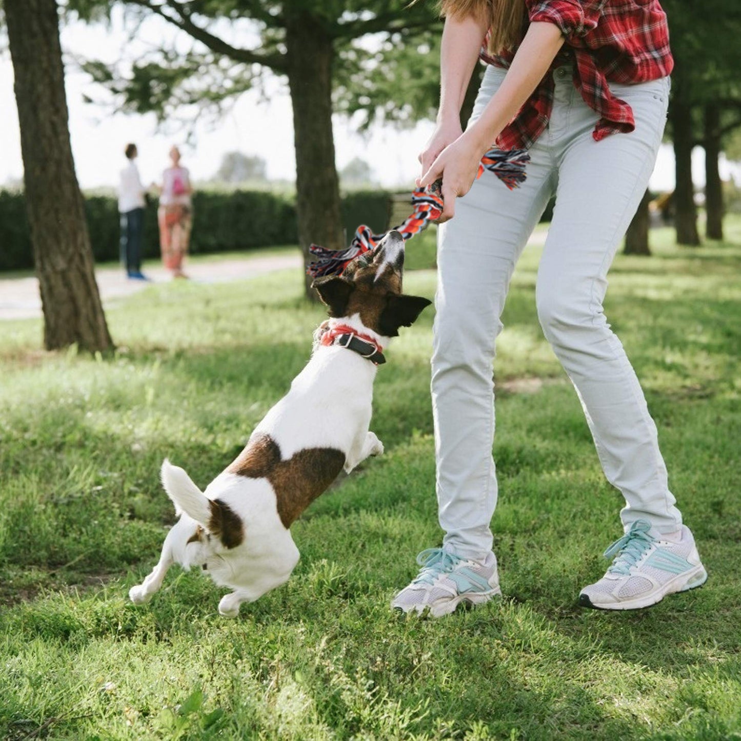 Dog Rope Toy 4 Pack - Puppy Teething Toys for Small Medium Breed - Indestructible Dog Chew Toys for Aggressive Chewers - Cotton Tug of War Dog Toys for Boredom, Teeth Clean