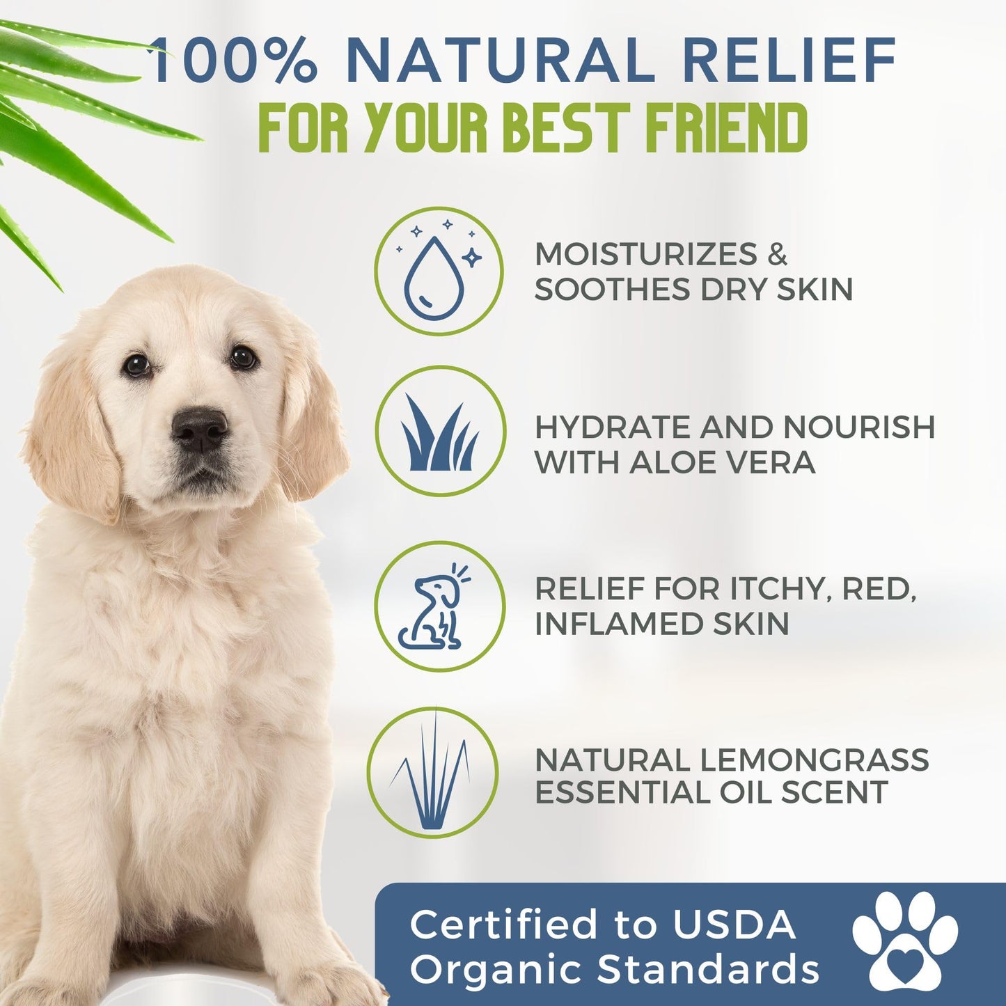 4-Legger Certified Organic Dog Shampoo - All Natural and Hypoallergenic with Aloe and Lemongrass, Soothing for Normal, Dry, Itchy or Allergy Sensitive Skin - Biodegradable - Made in USA - 16 oz