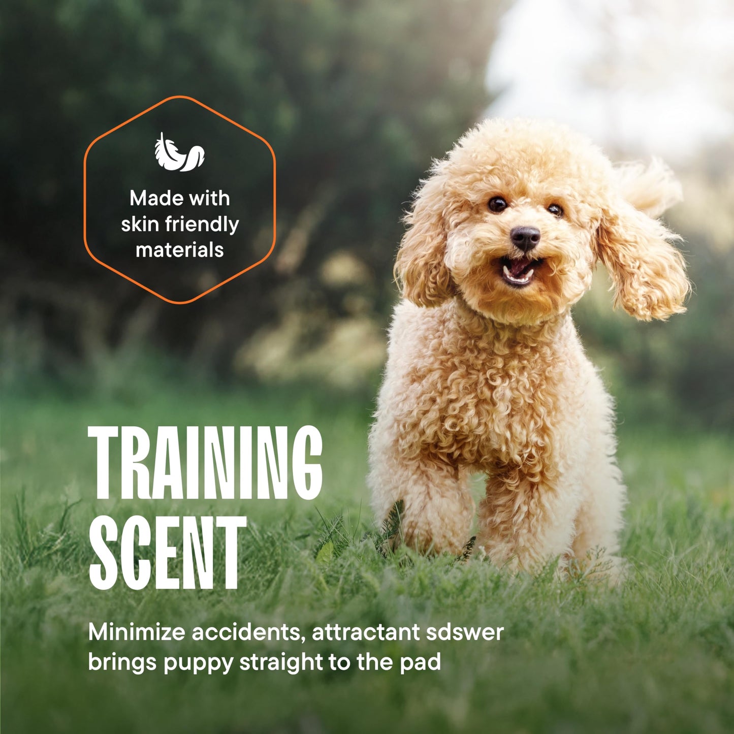 Puppy Pads Pet Pee Pads for Dogs & Puppy Training - 100 Count - Potty Pads for Dogs 22" x 22" Leak-Proof Dog Pee Pads - Quick-Dry Surface - Heavy Duty Absorbent Disposable Dog Wee Pad Bulk Pack