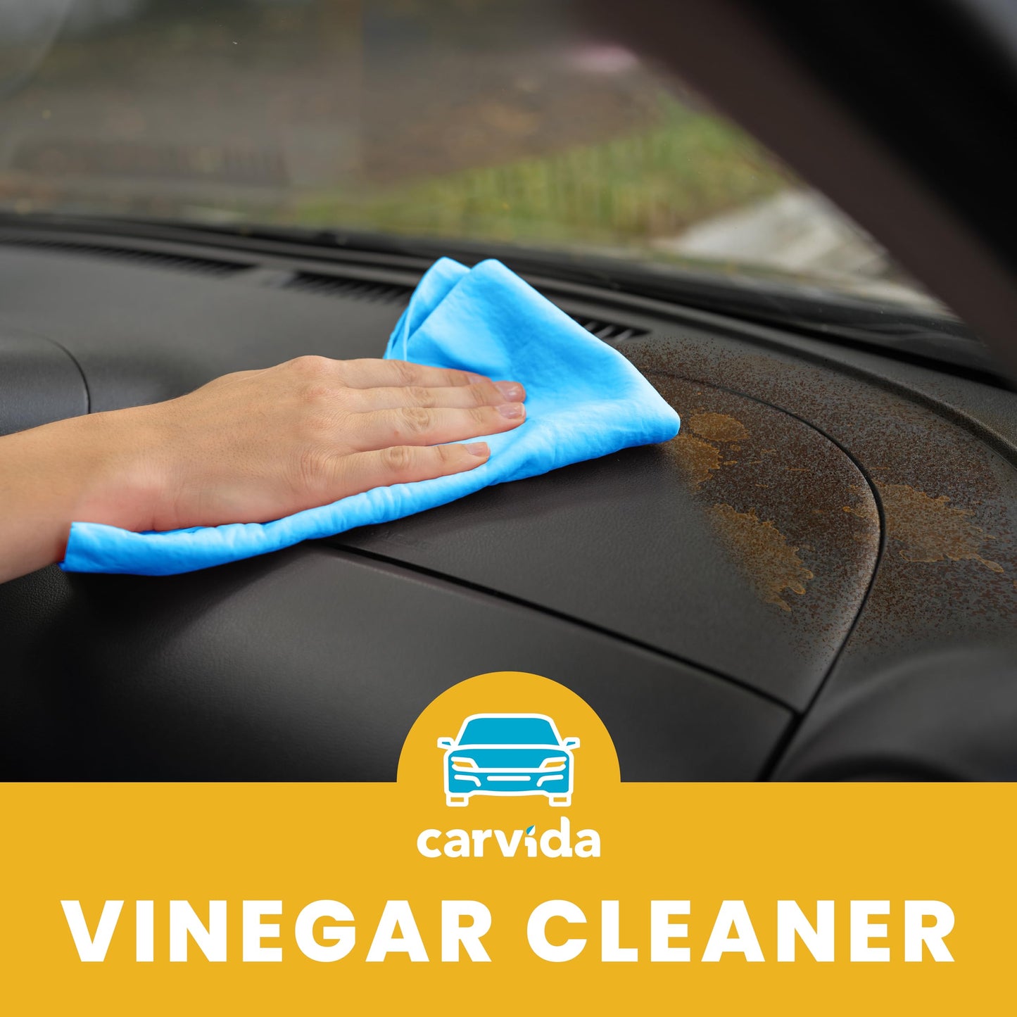 Carvida Vinegar Cleaner, Plant-Based, Multi-purpose Automotive Cleaning Spray, Natural Mint Scent, 16oz