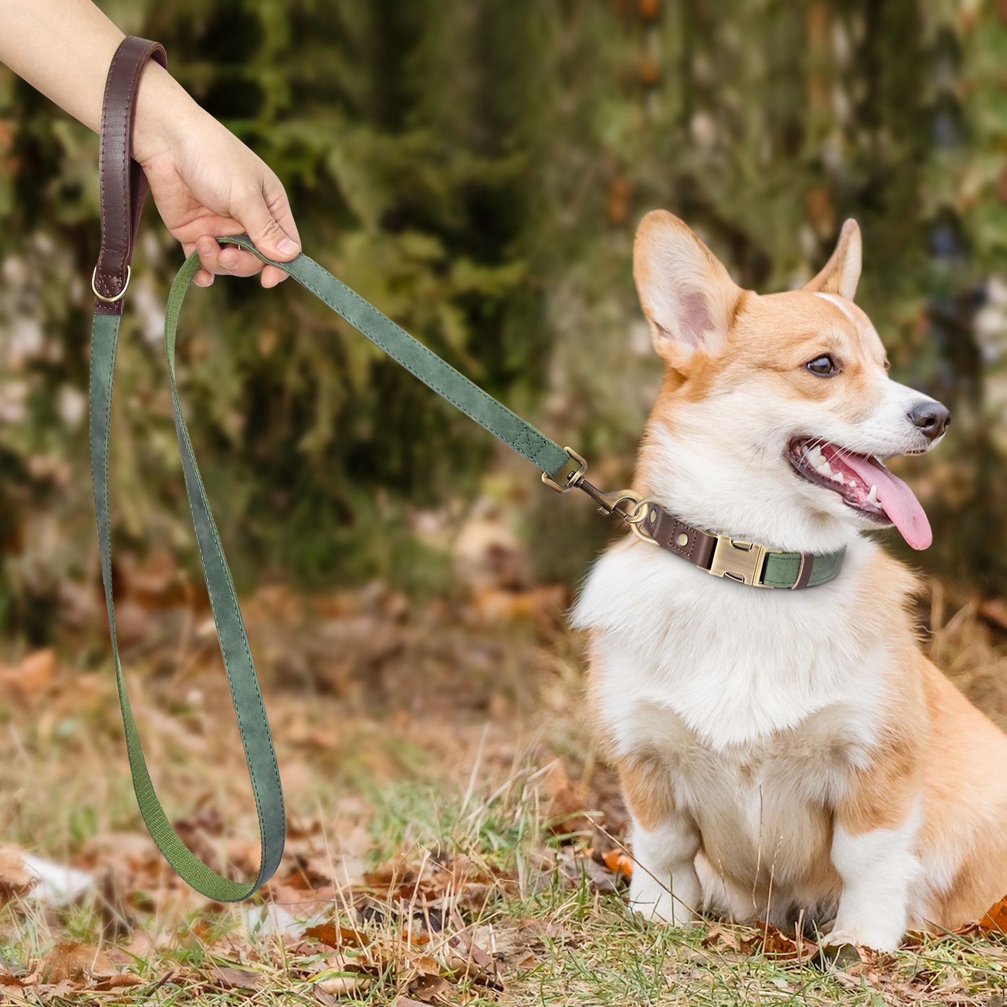 Didog Soft PU Leather Dog Collars for Small Dogs,Classic Adjustable Dog Collars with Quick Release Metal Buckle,Easy Clean and Comfortable with Nylon Lining,Green,S Neck 10-15"