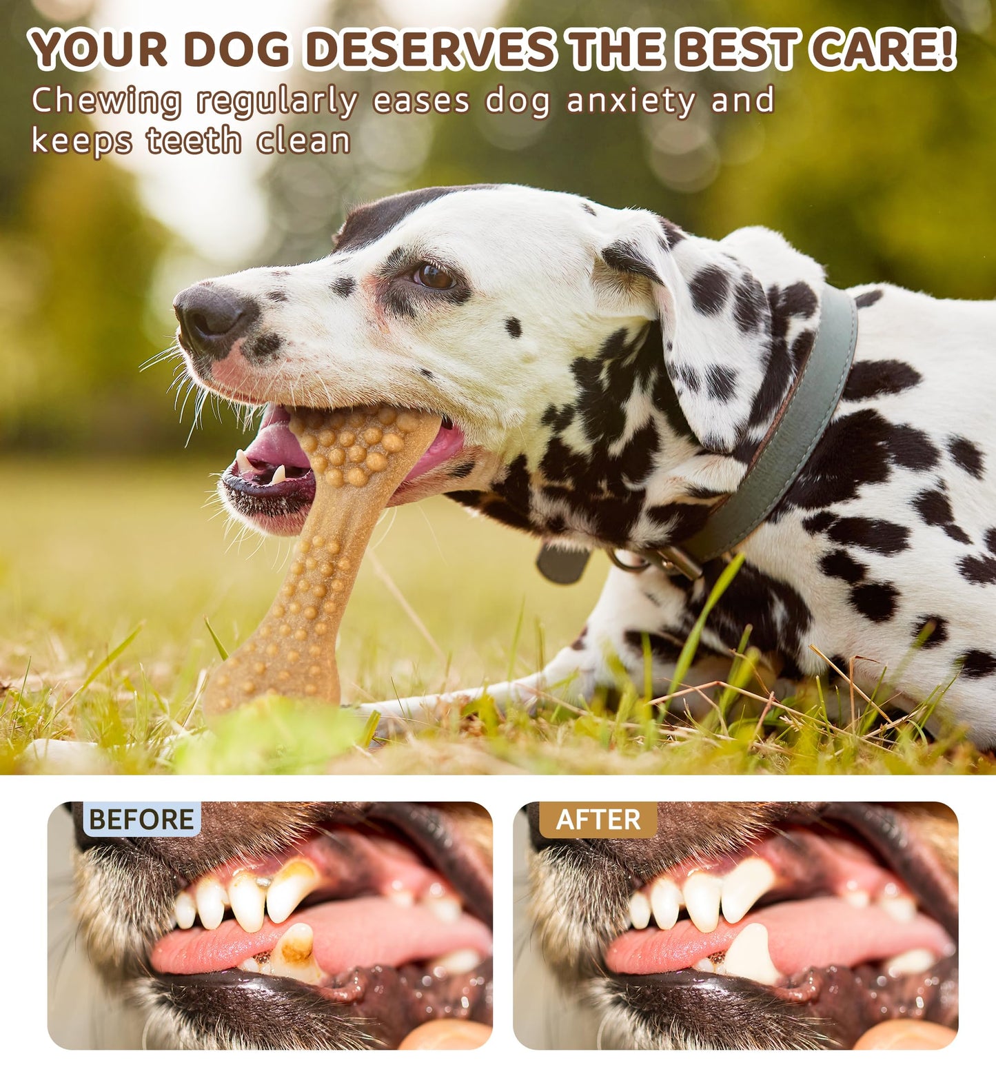 IPTPAS Durable Dog Chew Toy for Aggressive Chewers, Tough Dental Toy for Teeth Cleaning, Boredom & Anxiety Relief, Long-Lasting Toy for All Dog Sizes & Teething Puppies, Keep Them Busy