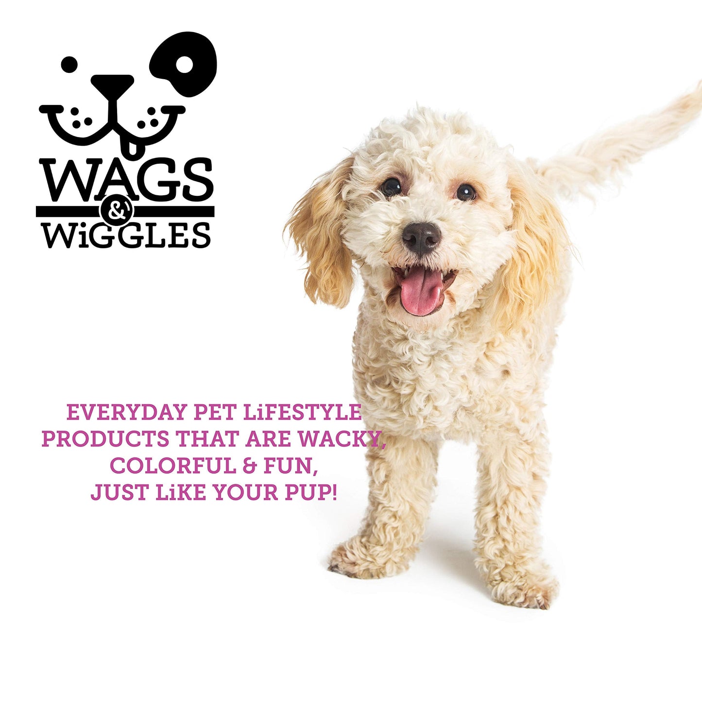 Wags & Wiggles Freshen Deodorizing Dog Shampoo in Very Berry Scent - Odor Control Dog Grooming Shampoo for Smelly Dogs, 16 Fl Oz